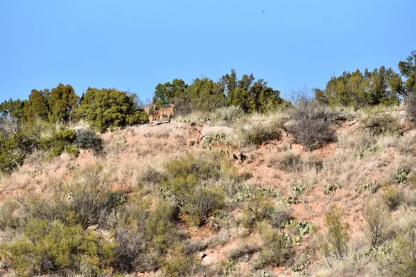 a view of ocean view