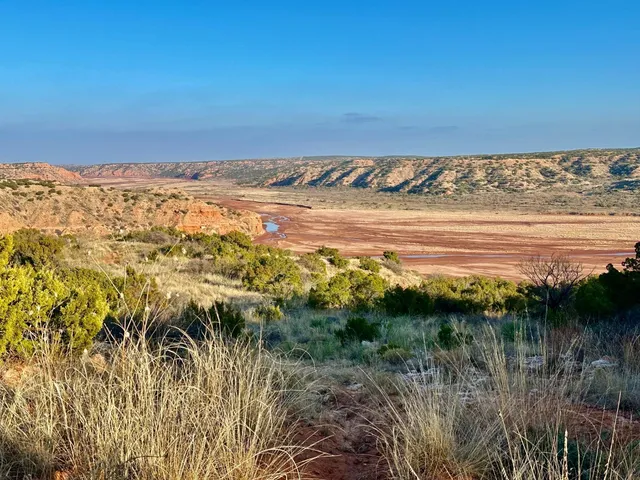 a view of a dry yard with wooden fence