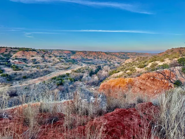 a view of a lake from a forest
