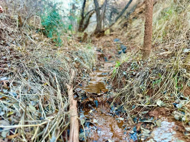 $17,255,016 | 0 State Highway 256, Silverton, TX 79257