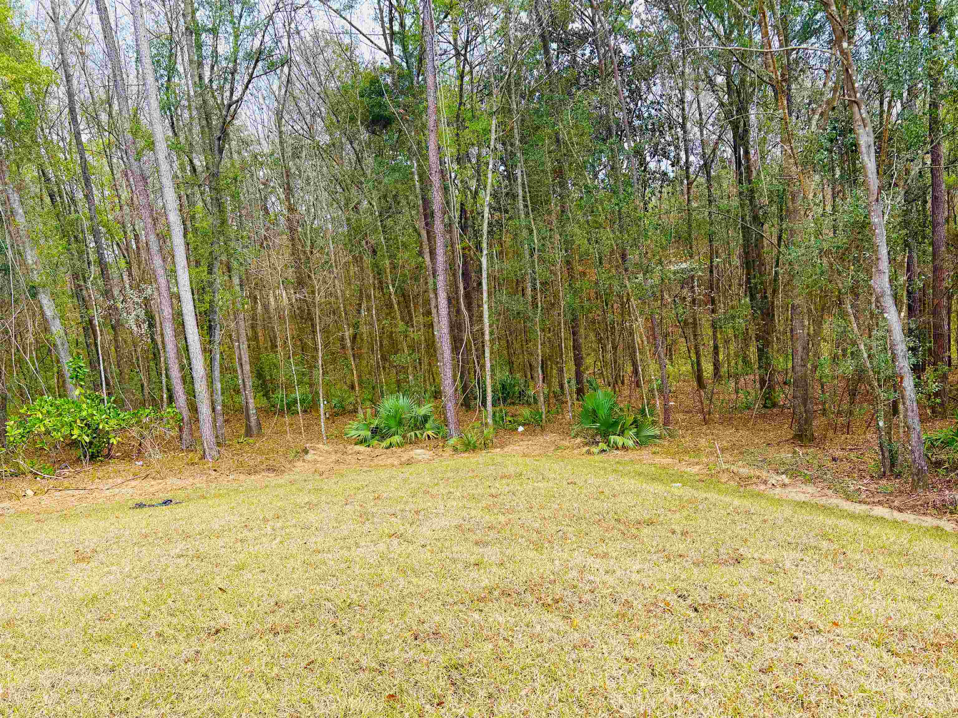 6 Mae Cato Drive Midway, FL 32343 - Photo 4 of 33