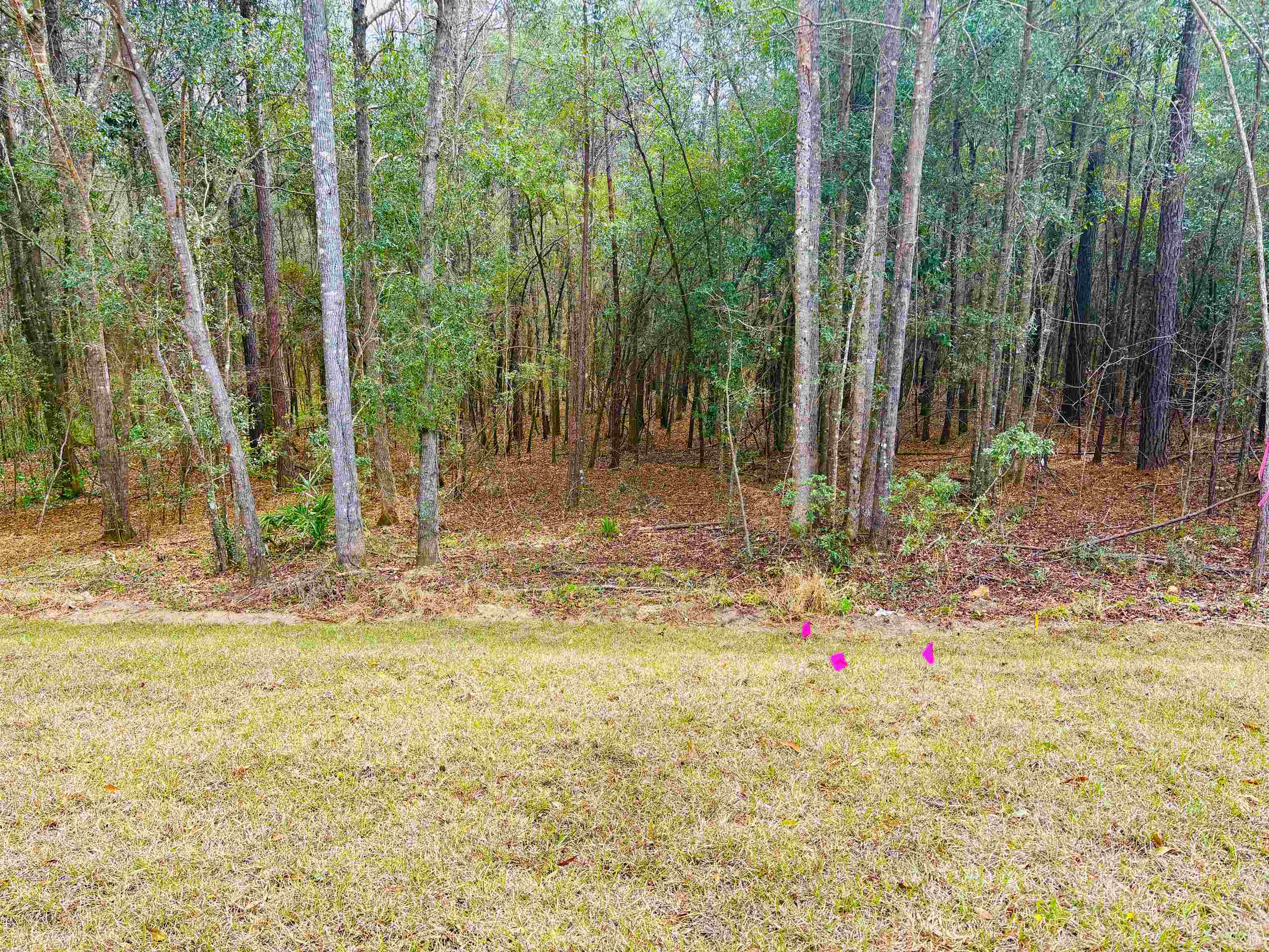 6 Mae Cato Drive Midway, FL 32343 - Photo 5 of 33