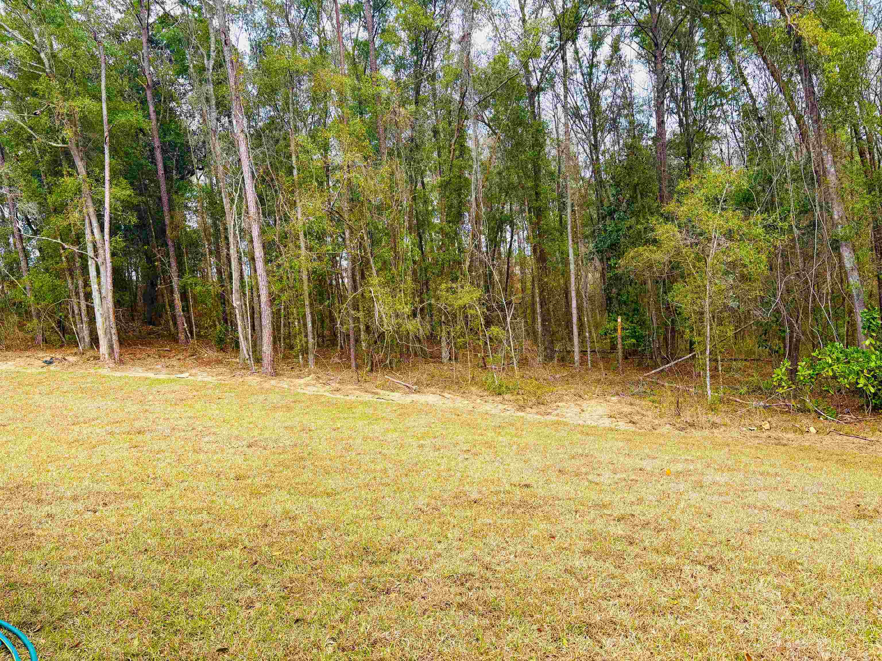 6 Mae Cato Drive Midway, FL 32343 - Photo 6 of 33