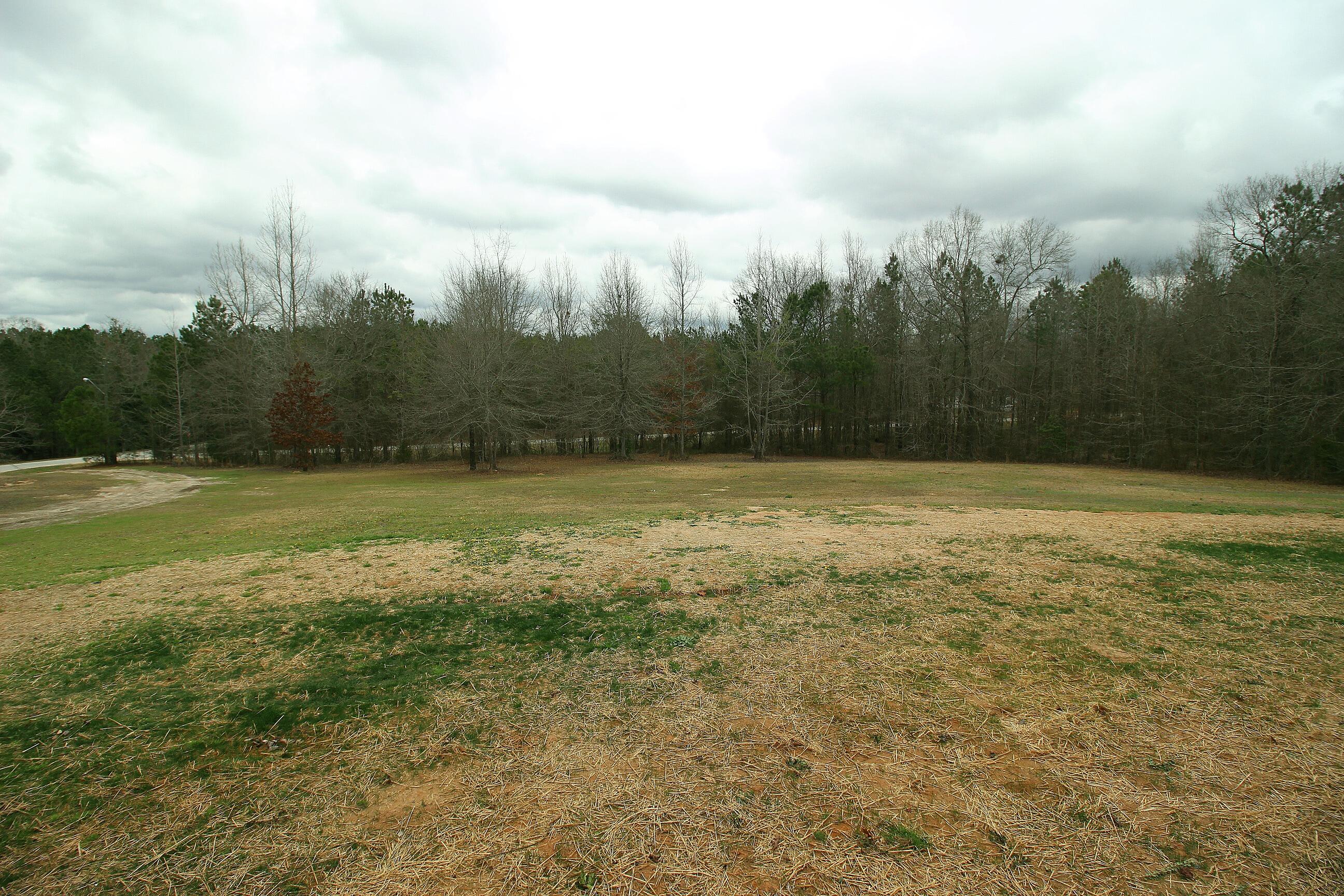 524 Kelly Acres Road Harlem, GA 30814 - Photo 32 of 38 front yard