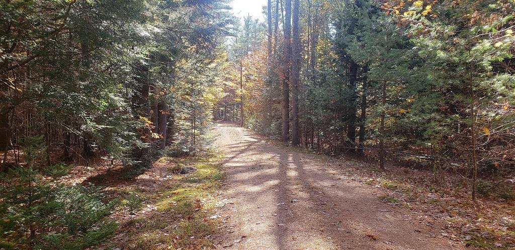 29 Walton Mills Road Mount Vernon, ME 04352 - Photo 19 of 30 Well Kept 800' Driveway