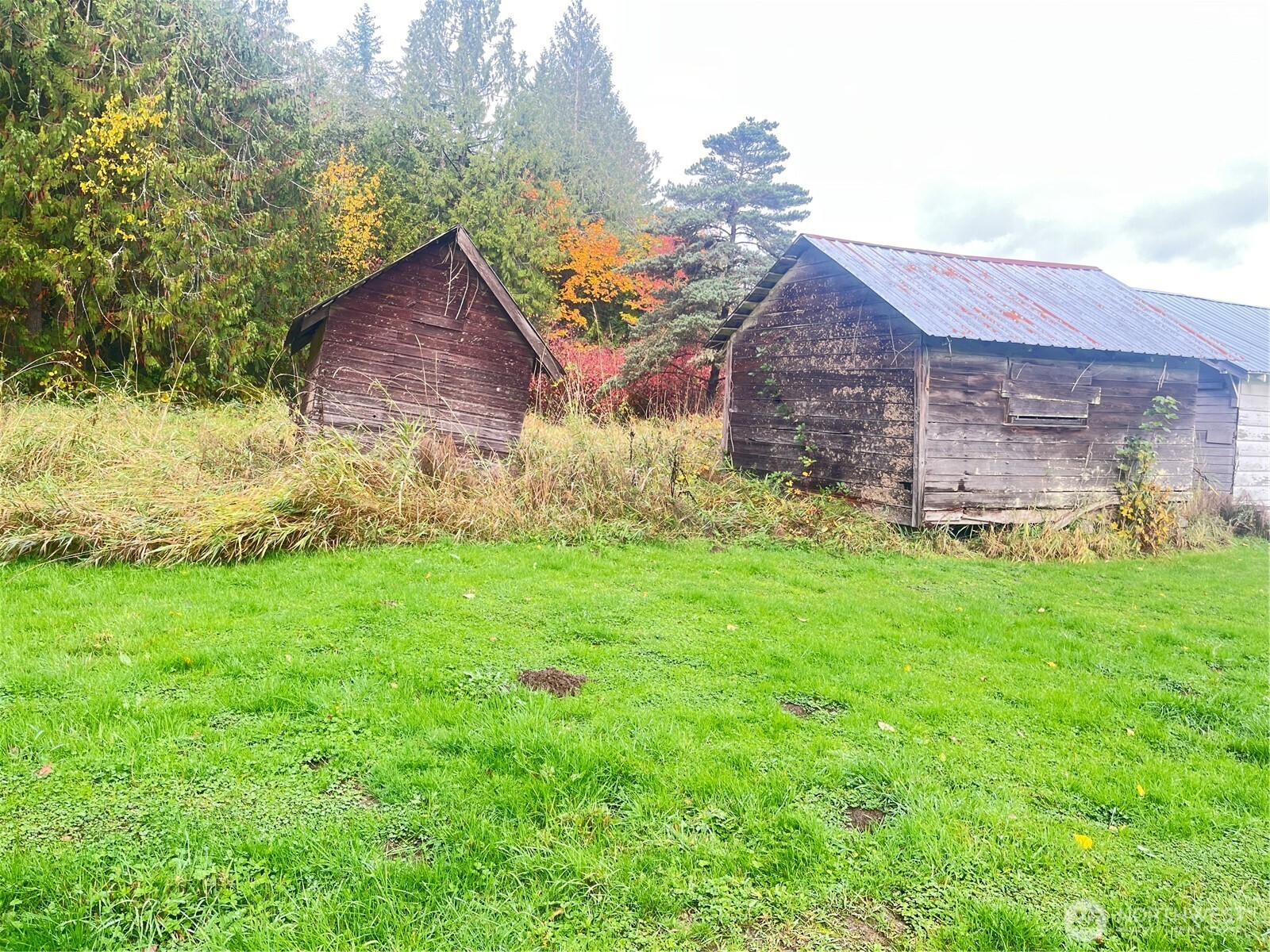 688 Big Hanaford Road Centralia, WA 98531 - Photo 4 of 8 a view of a yard in front of a house with plants and large tree