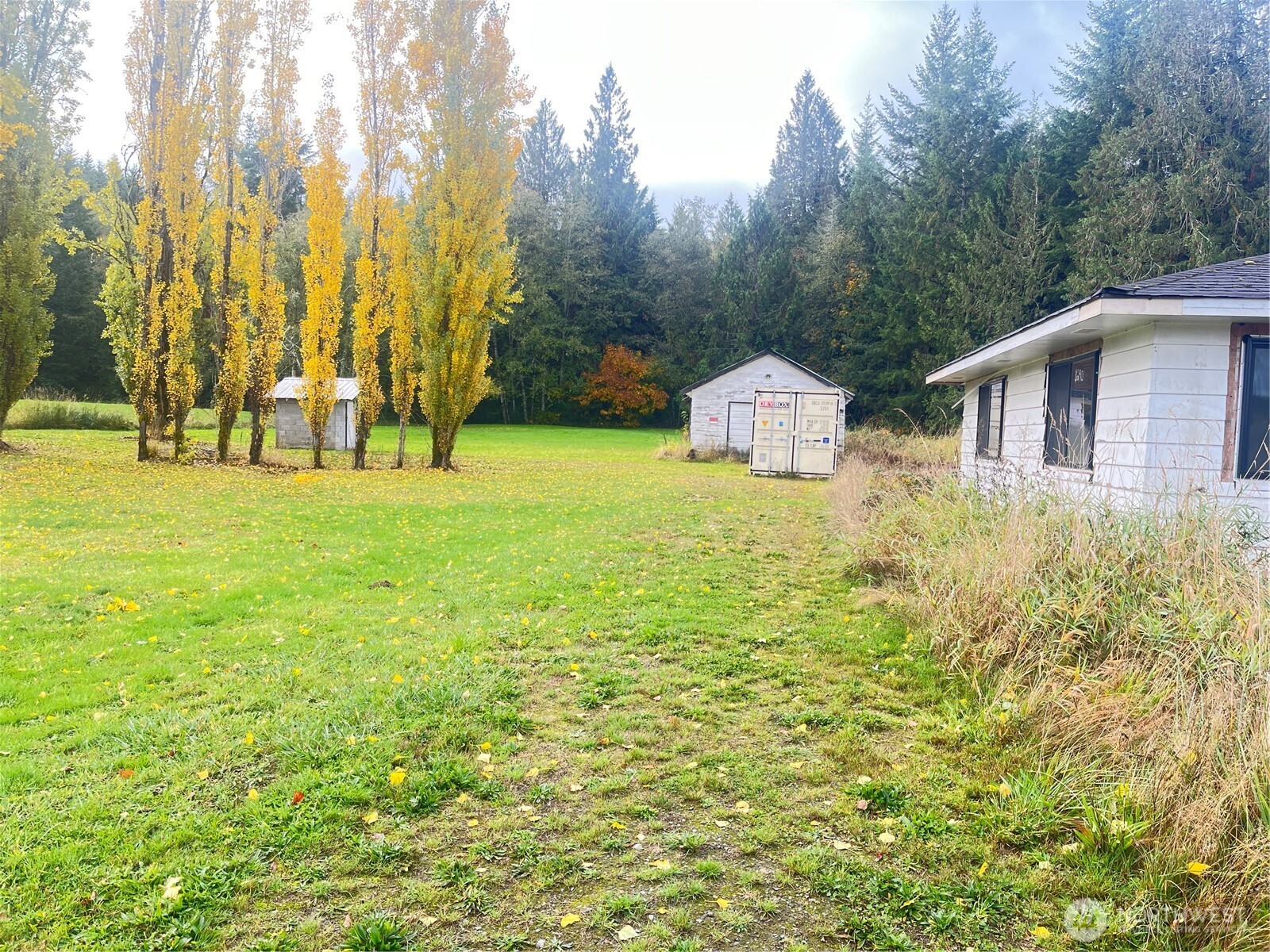 688 Big Hanaford Road Centralia, WA 98531 - Photo 6 of 8 a front view of a house with a yard and trees