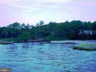 13 Pinehurst Road Ocean Pines, MD 21811 - Photo 5 of 5