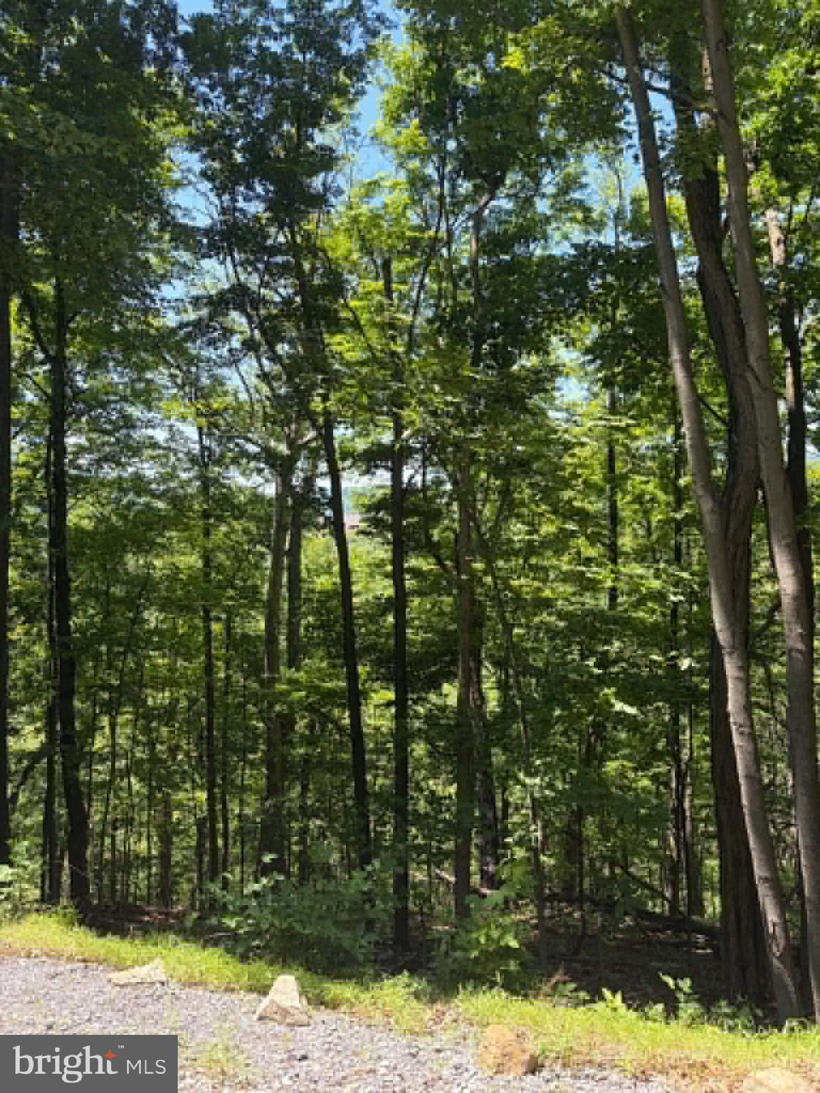 1515 Barnum Road Keyser, WV 26726 - Photo 48 of 64