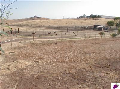 18835 Watts Valley Road Sanger, CA 93657 - Photo 15 of 18 Gallery Image 15