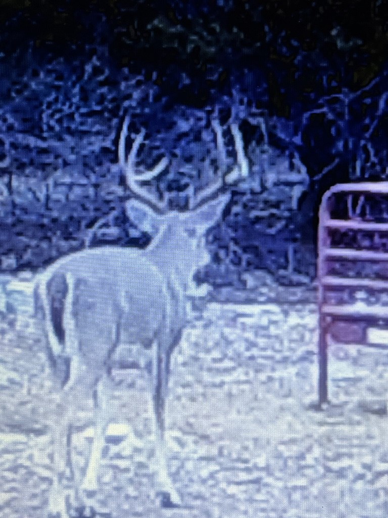 5-6 SD 45125 Rocksprings, TX 78880 - Photo 11 of 28 a view of a fireplace