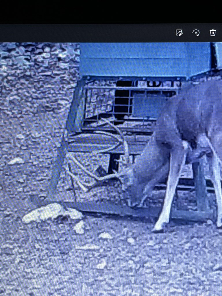 5-6 SD 45125 Rocksprings, TX 78880 - Photo 12 of 28 a room with a wooden floor