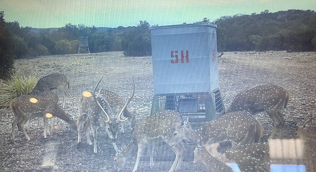 5-6 SD 45125 Rocksprings, TX 78880 - Photo 4 of 28 a view of outdoor space
