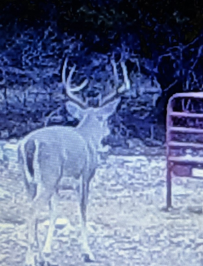 5-6 SD 45125 Rocksprings, TX 78880 - Photo 5 of 28 a view of a fireplace