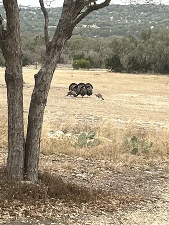 $1,075,000 | 5-6 SD 45125, Rocksprings, TX 78880