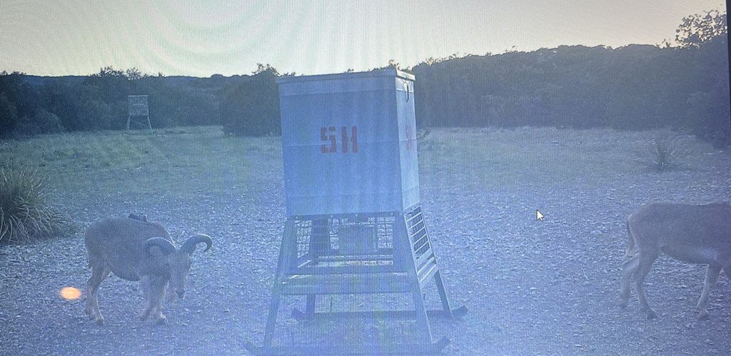 5-6 SD 45125 Rocksprings, TX 78880 - Photo 7 of 28 a view of terrace