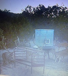 5-6 SD 45125 Rocksprings, TX 78880 - Photo 9 of 28 a front view of a house with a yard
