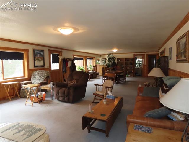 1324 Twin Rocks Road Florissant, CO 80816 - Photo 12 of 23