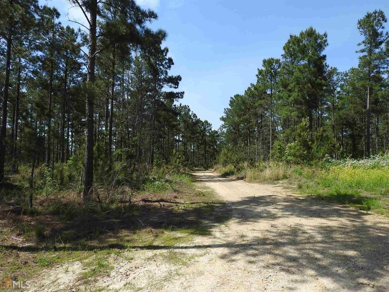 0 Griffin Road Northwest, Unit 5007PARCEL 1 Cartersville, GA 30120 - Photo 11 of 27 a view of a yard with a tree