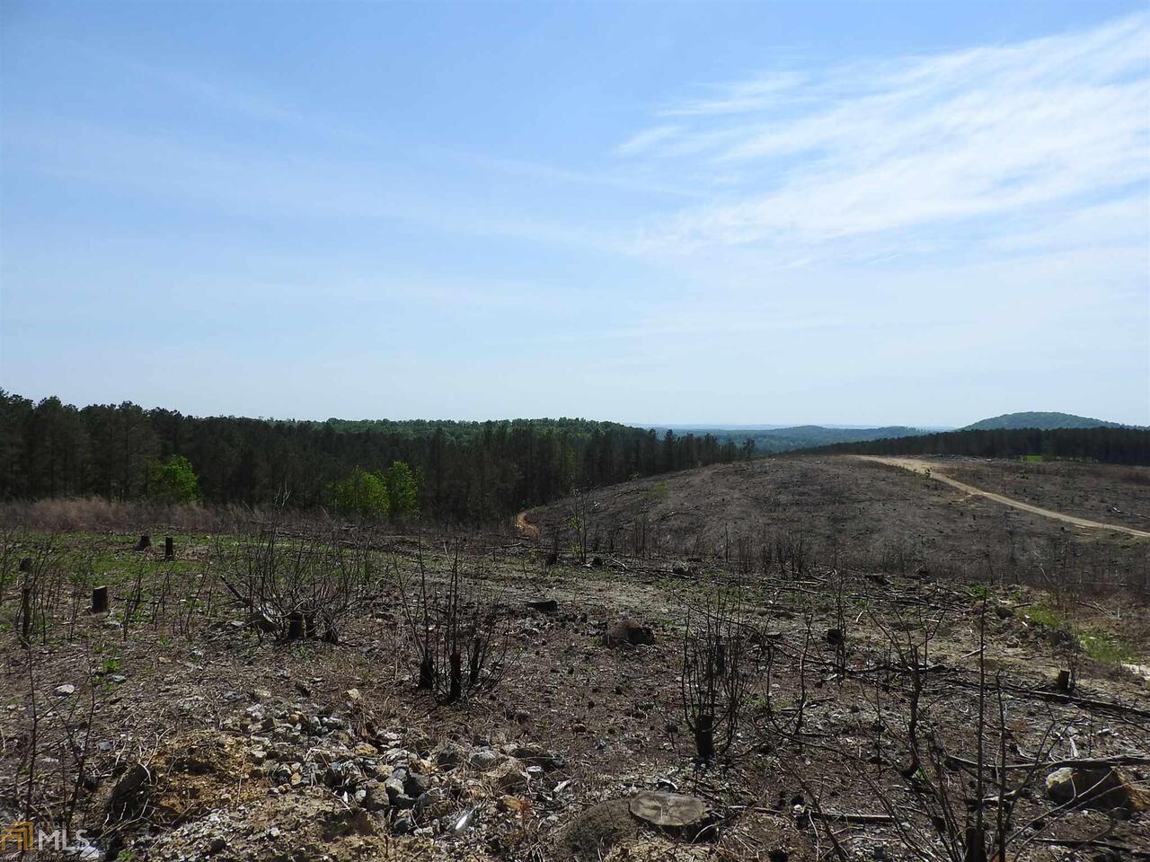 0 Griffin Road Northwest, Unit 5007PARCEL 1 Cartersville, GA 30120 - Photo 13 of 27 a view of a field with trees in the background