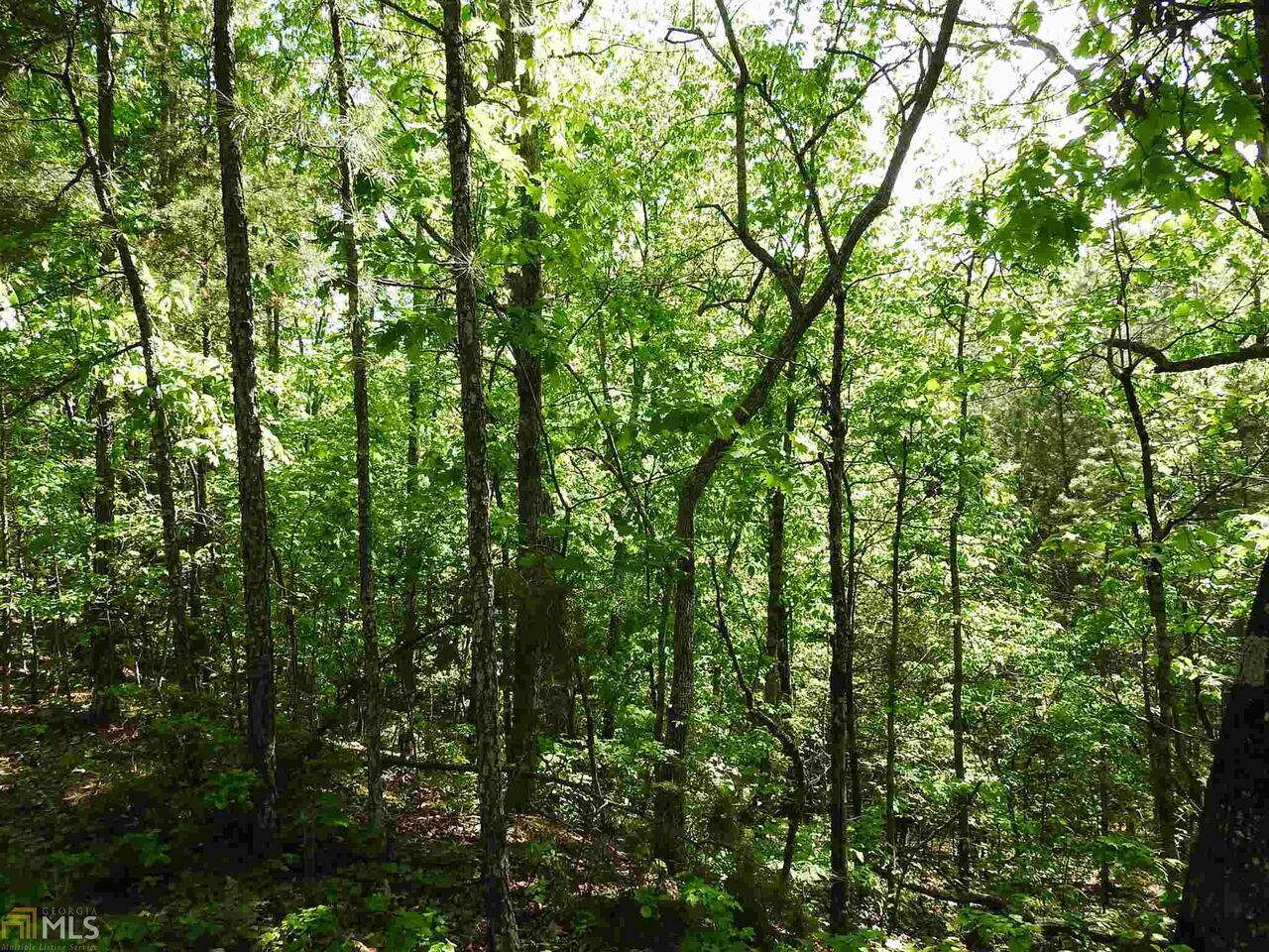0 Griffin Road Northwest, Unit 5007PARCEL 1 Cartersville, GA 30120 - Photo 18 of 27 a view of a lush green forest