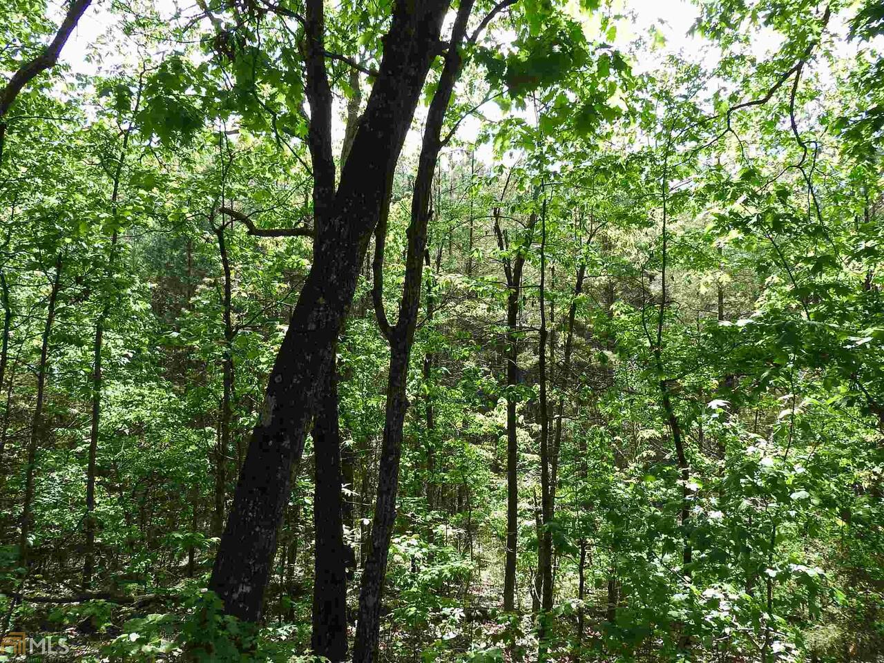 0 Griffin Road Northwest, Unit 5007PARCEL 1 Cartersville, GA 30120 - Photo 20 of 27 a view of forest