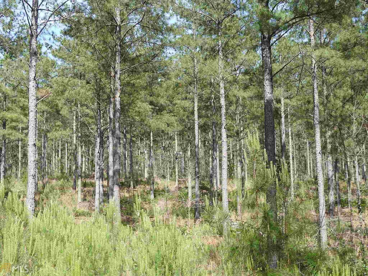 0 Griffin Road Northwest, Unit 5007PARCEL 1 Cartersville, GA 30120 - Photo 23 of 27