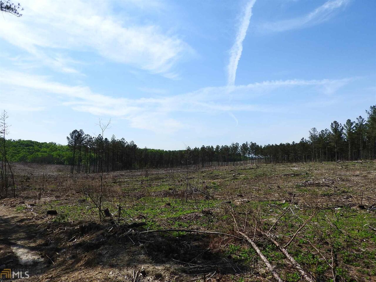 0 Griffin Road Northwest, Unit 5007PARCEL 1 Cartersville, GA 30120 - Photo 26 of 27 a view of mountain with lake view