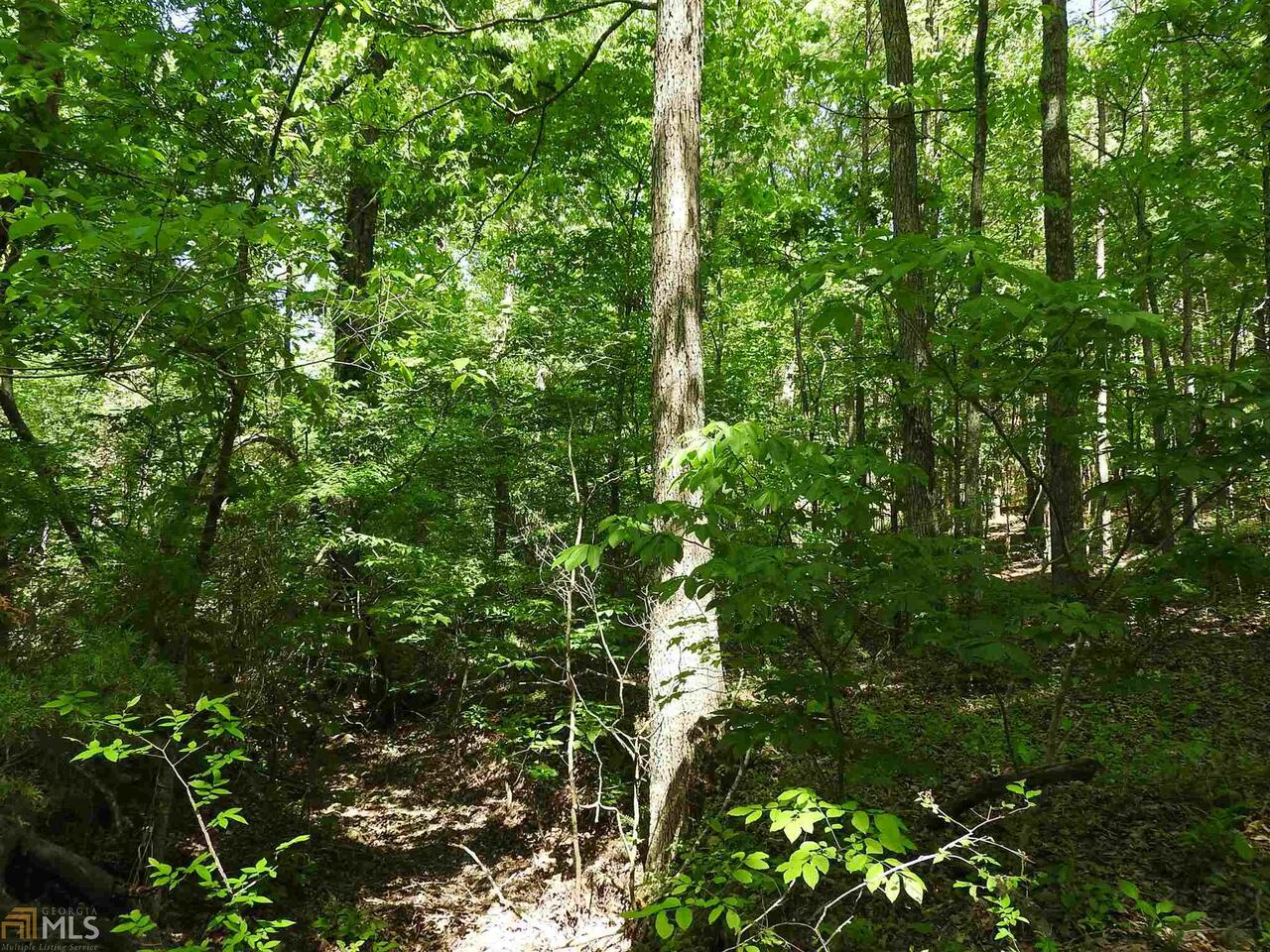 0 Griffin Road Northwest, Unit 5007PARCEL 1 Cartersville, GA 30120 - Photo 5 of 27 a backyard of a house with lots of swings