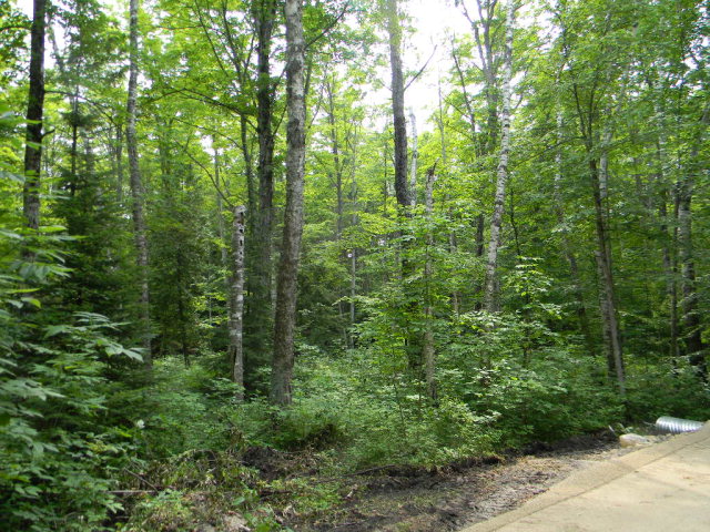 Trails End Road Sister Bay, WI 54234 - Photo 1 of 1