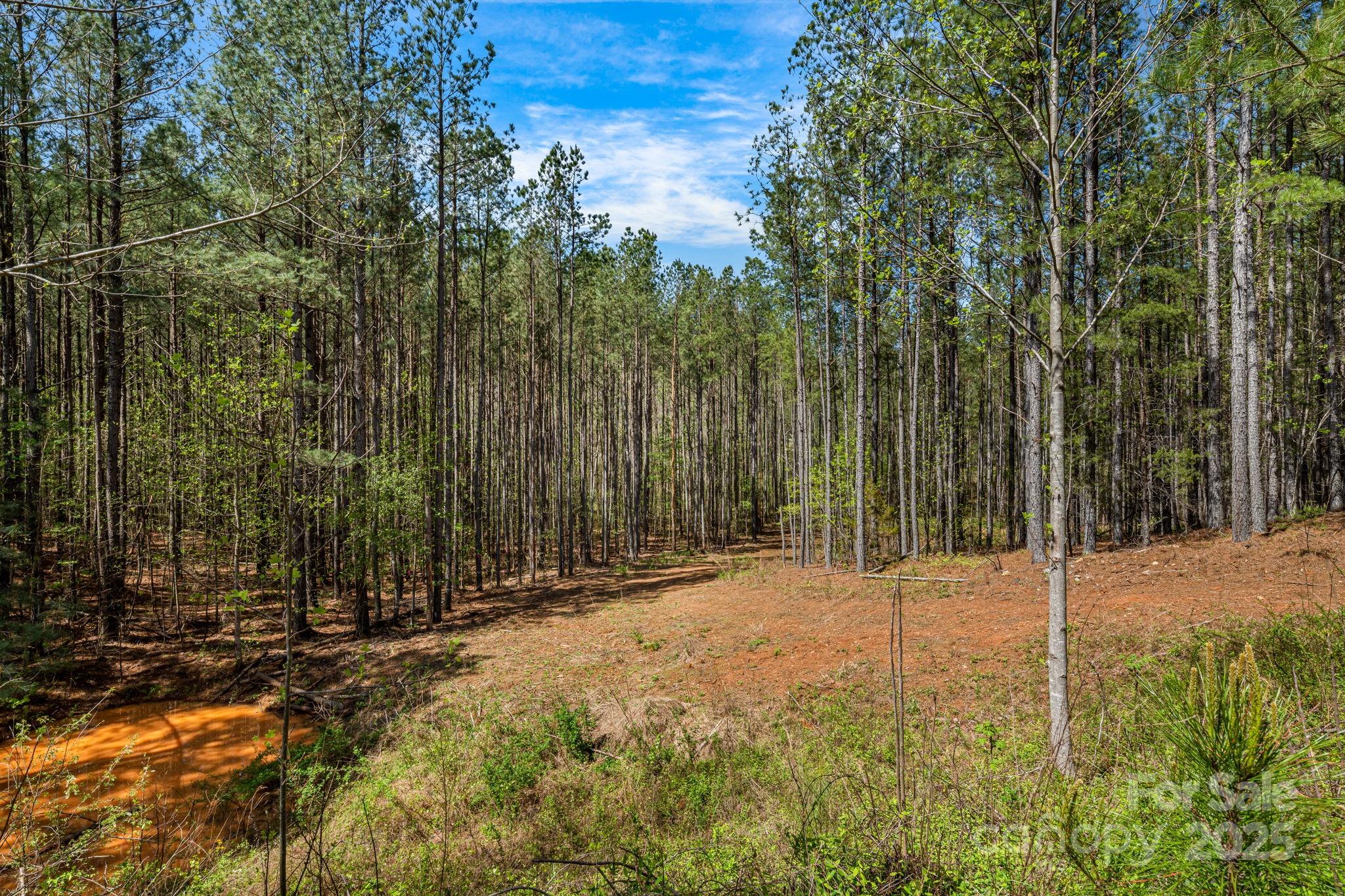 19 Sunset Drive, Unit 19 Mill Spring, NC 28756 - Photo 4 of 23