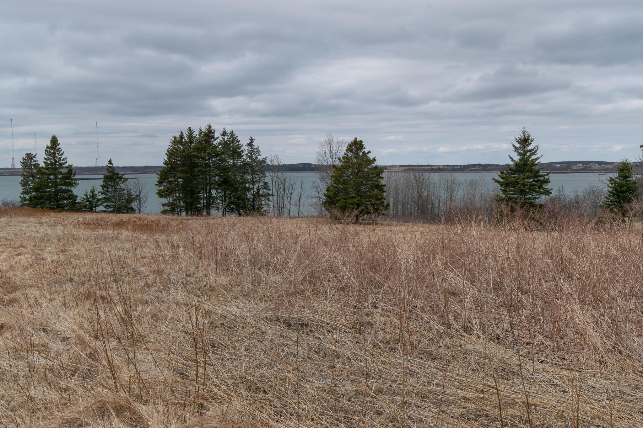 185 Little Machias Road Cutler, ME 04626 - Photo 14 of 19 DSC_0086-2
