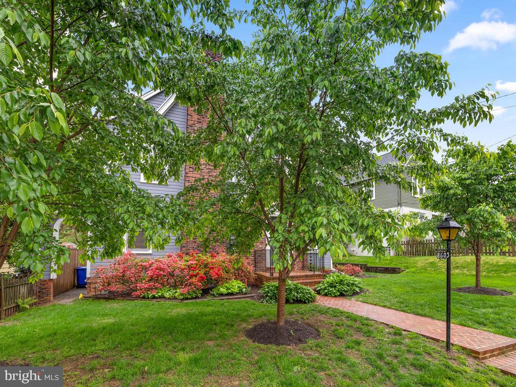 8603 Mayfair Place Silver Spring, MD 20910 - Photo 33 of 35