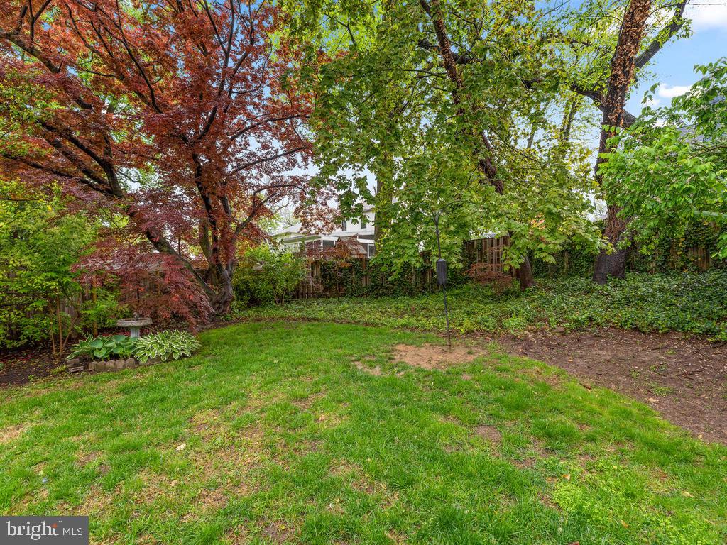 8603 Mayfair Place Silver Spring, MD 20910 - Photo 35 of 35