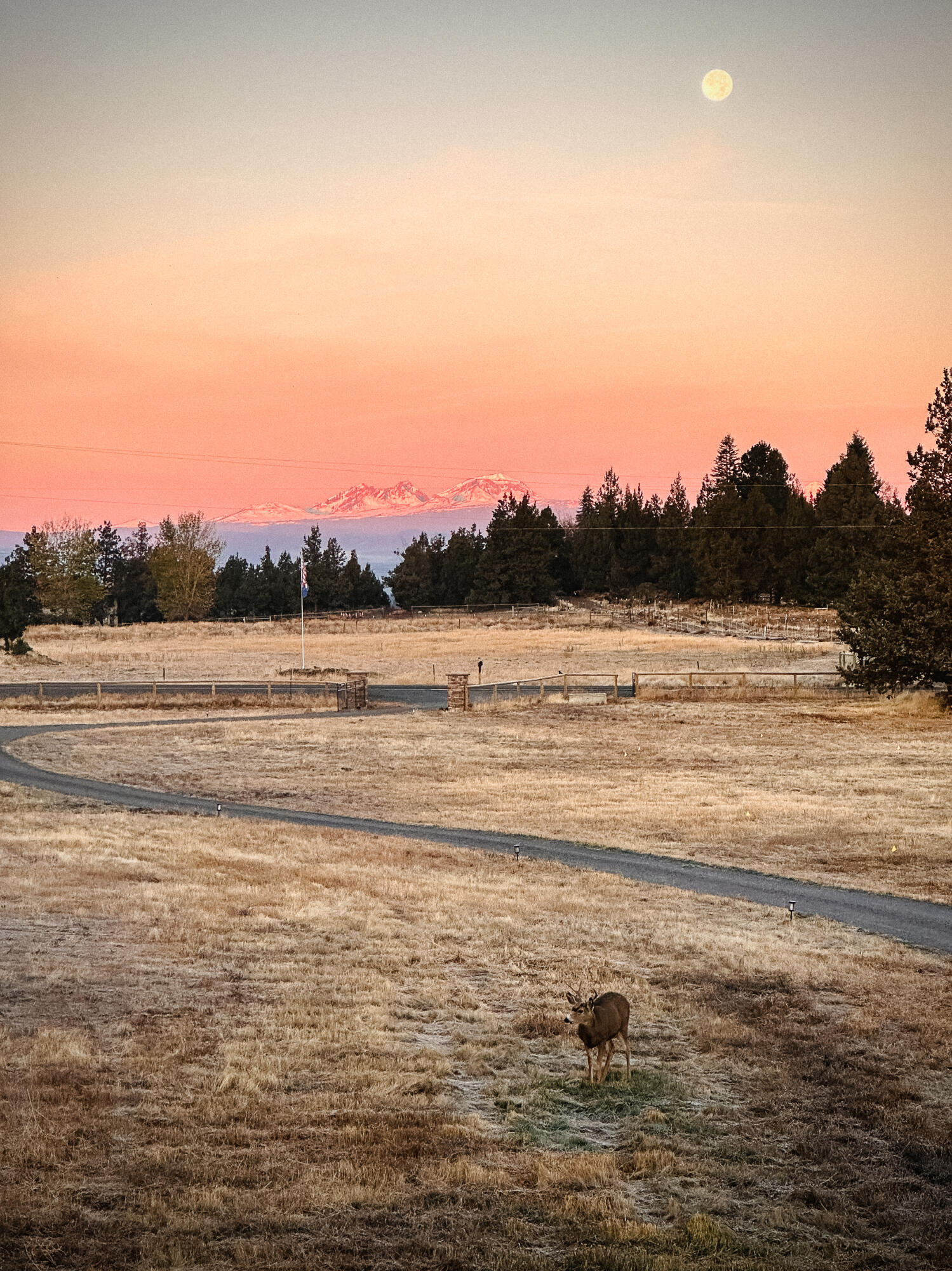 61280 Larsen Road Bend, OR 97702 - Photo 55 of 58 a view of an ocean