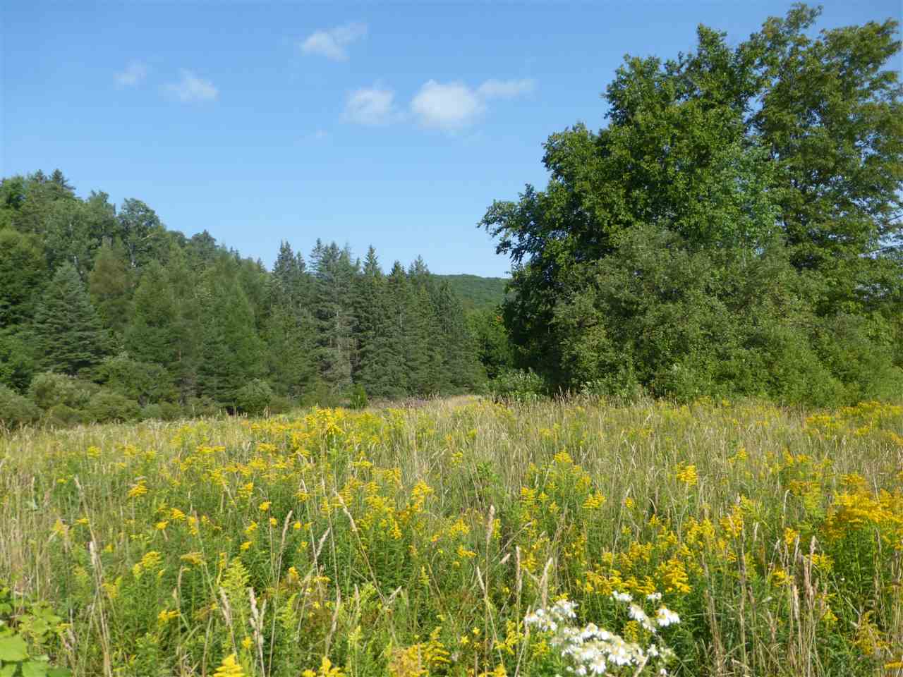 1846 Perron Hill Road Glover, VT 05839 - Photo 13 of 20