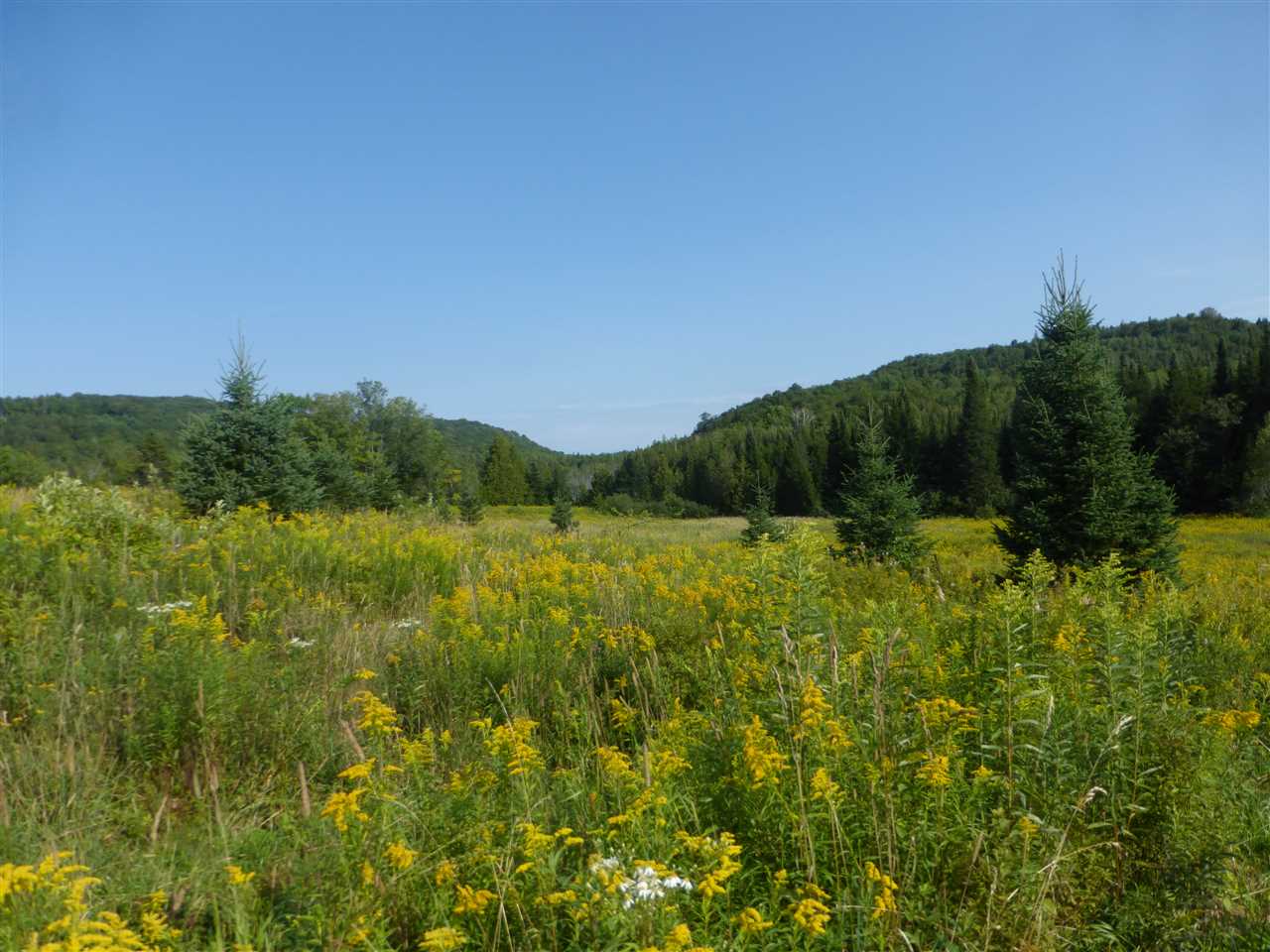 1846 Perron Hill Road Glover, VT 05839 - Photo 14 of 20