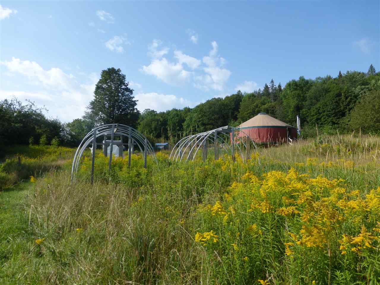 1846 Perron Hill Road Glover, VT 05839 - Photo 15 of 20