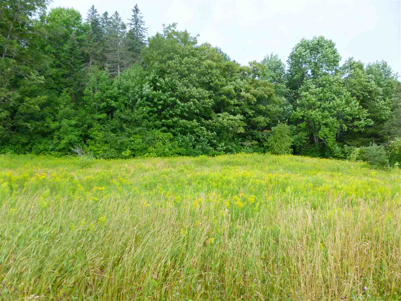1846 Perron Hill Road Glover, VT 05839 - Photo 16 of 20