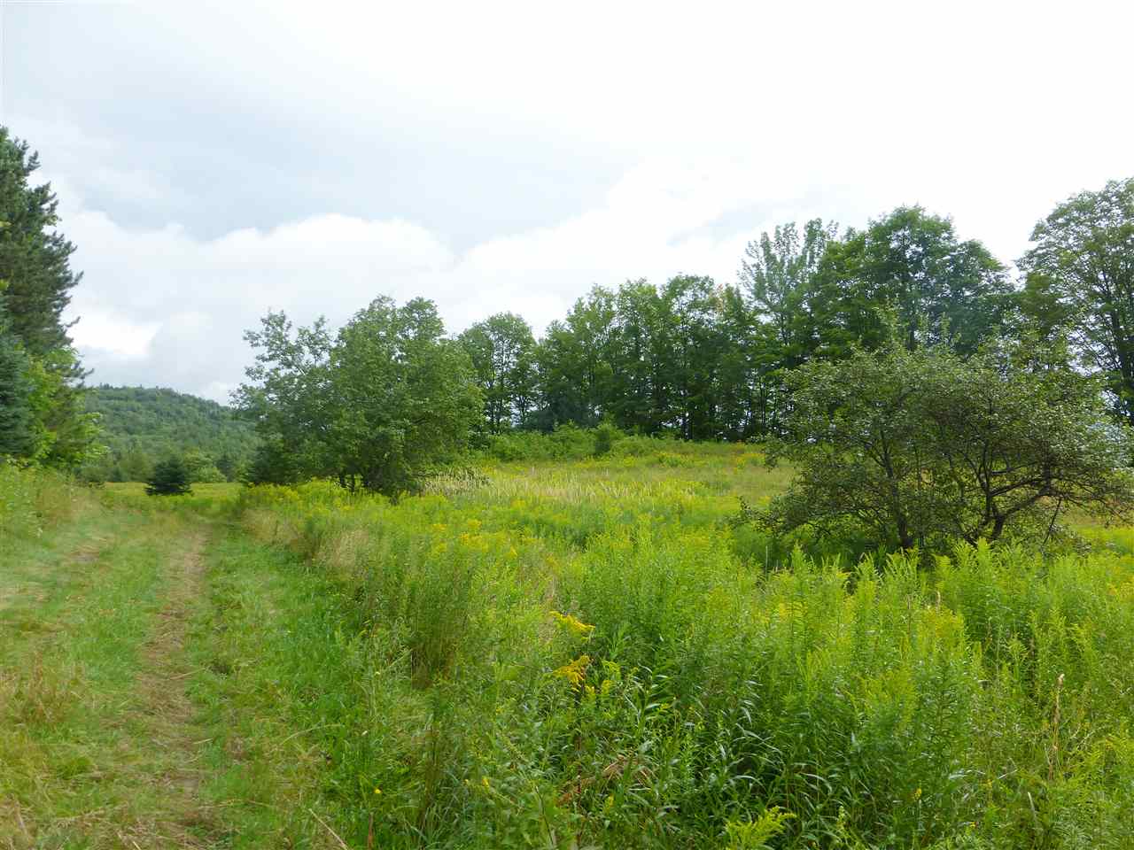 1846 Perron Hill Road Glover, VT 05839 - Photo 17 of 20