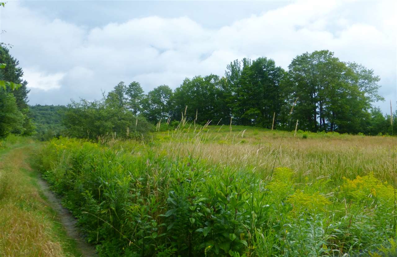 1846 Perron Hill Road Glover, VT 05839 - Photo 18 of 20