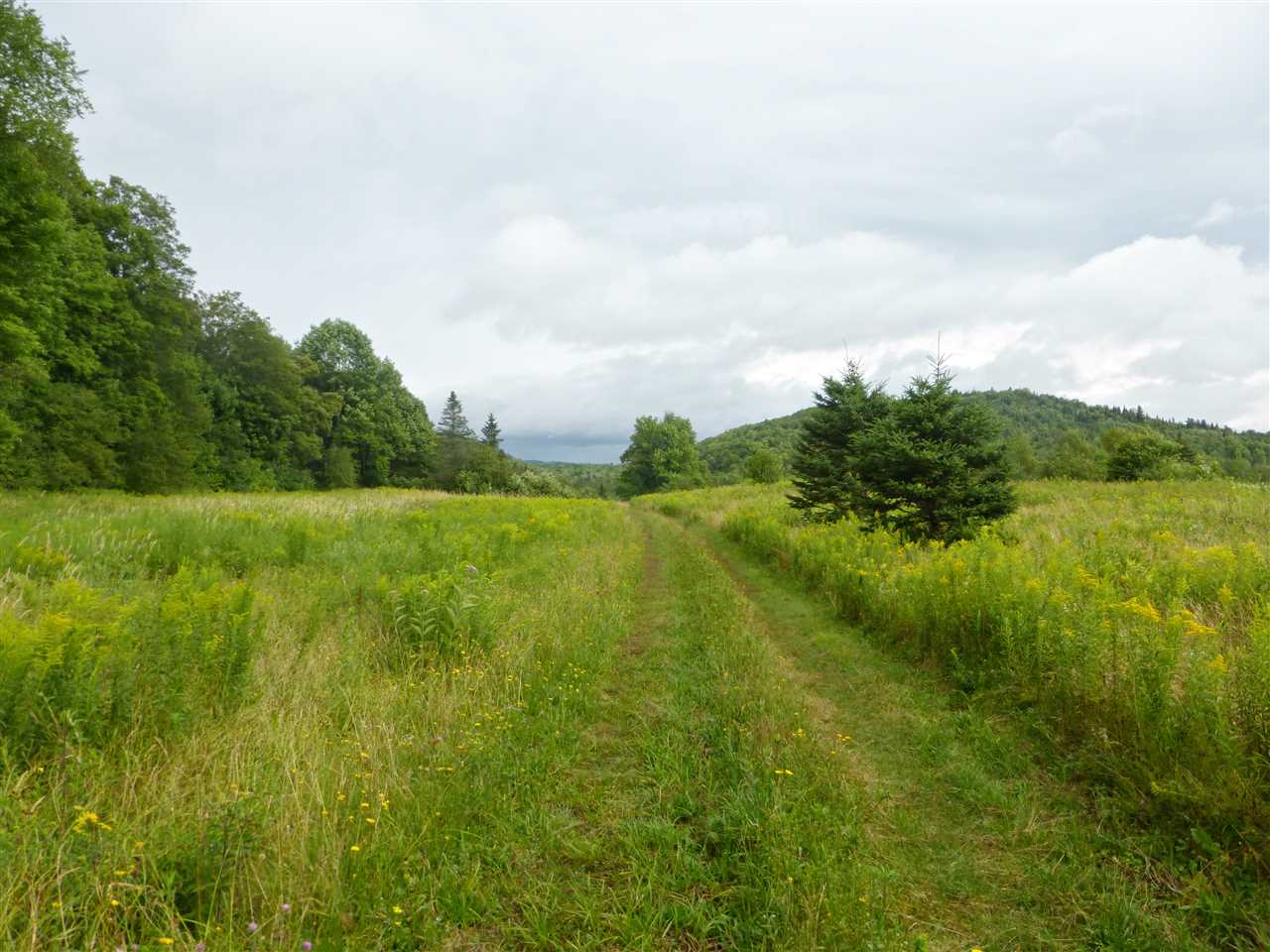 1846 Perron Hill Road Glover, VT 05839 - Photo 20 of 20