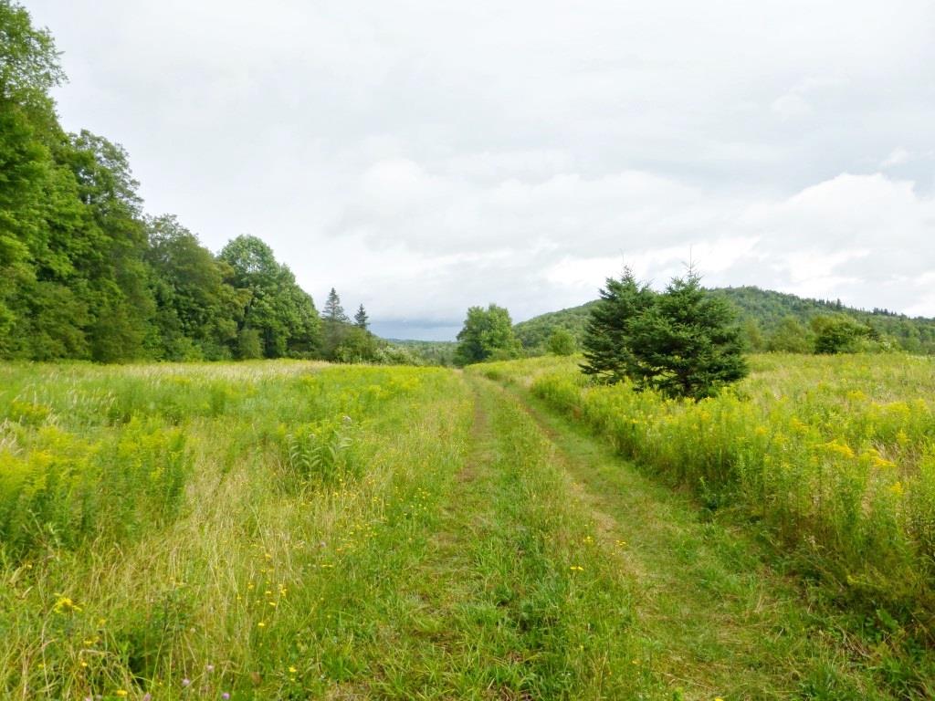 1846 Perron Hill Road Glover, VT 05839 - Photo 5 of 20