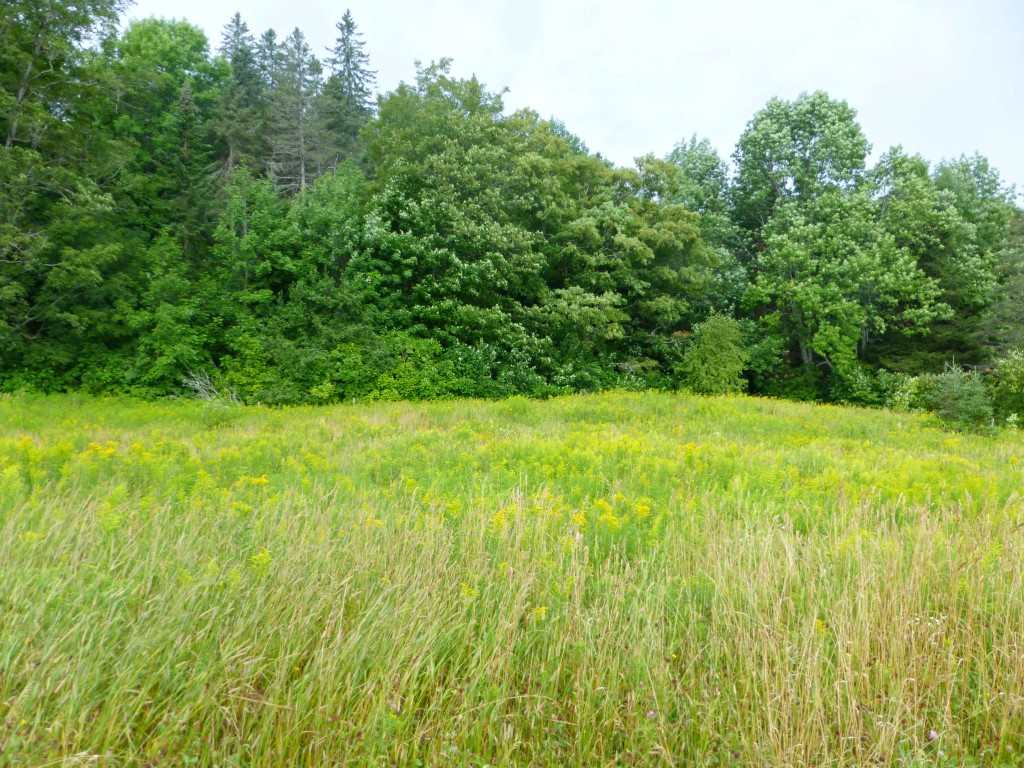 1846 Perron Hill Road Glover, VT 05839 - Photo 6 of 20