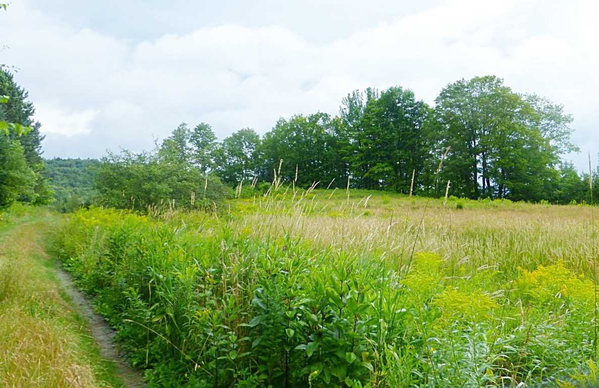 1846 Perron Hill Road Glover, VT 05839 - Photo 9 of 20