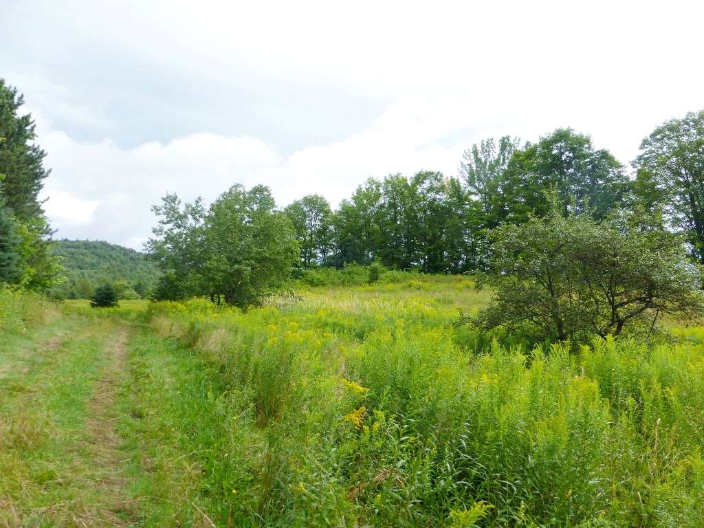 1846 Perron Hill Road Glover, VT 05839 - Photo 10 of 20