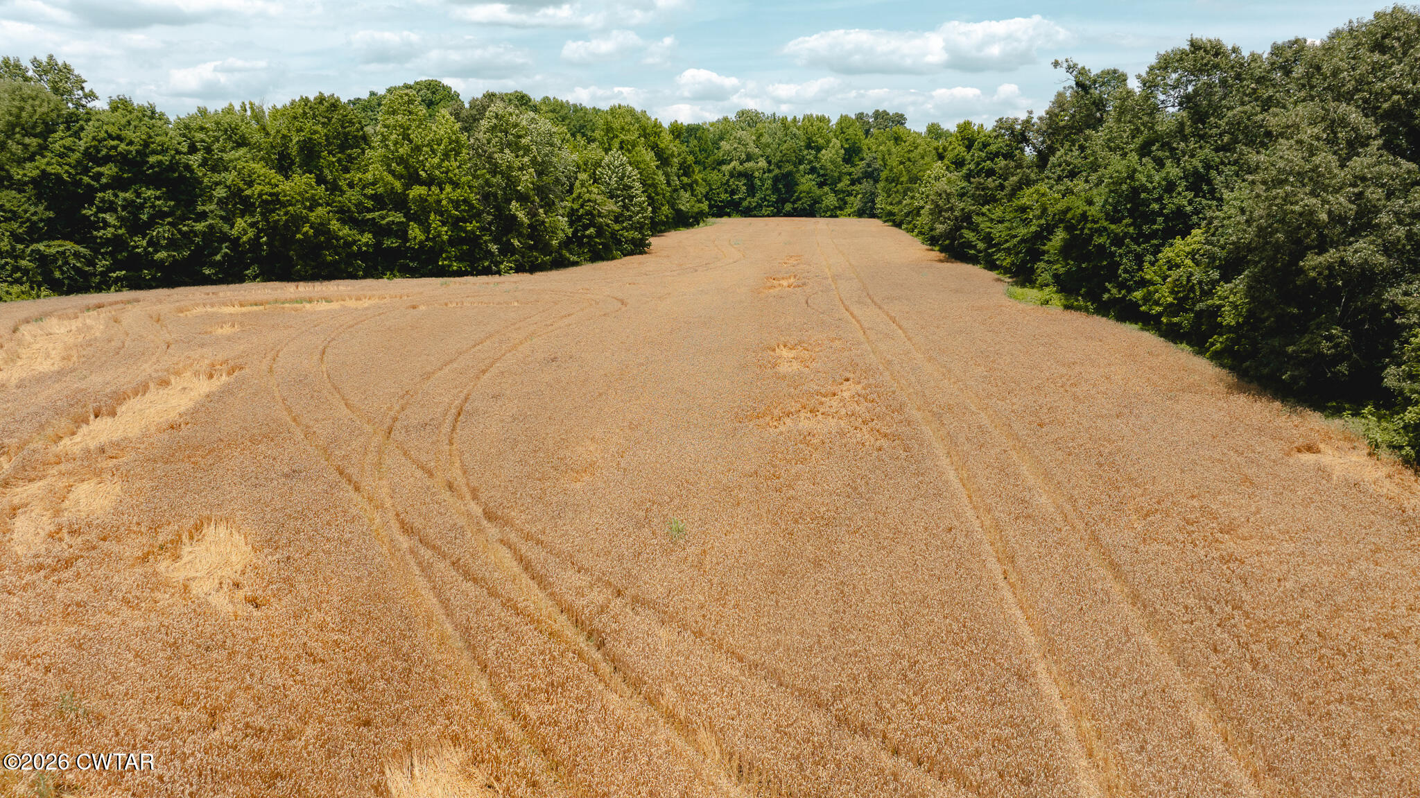 0 Will Young Road Greenfield, TN 38230 - Photo 9 of 17 DJI_20260602203831_0005_D