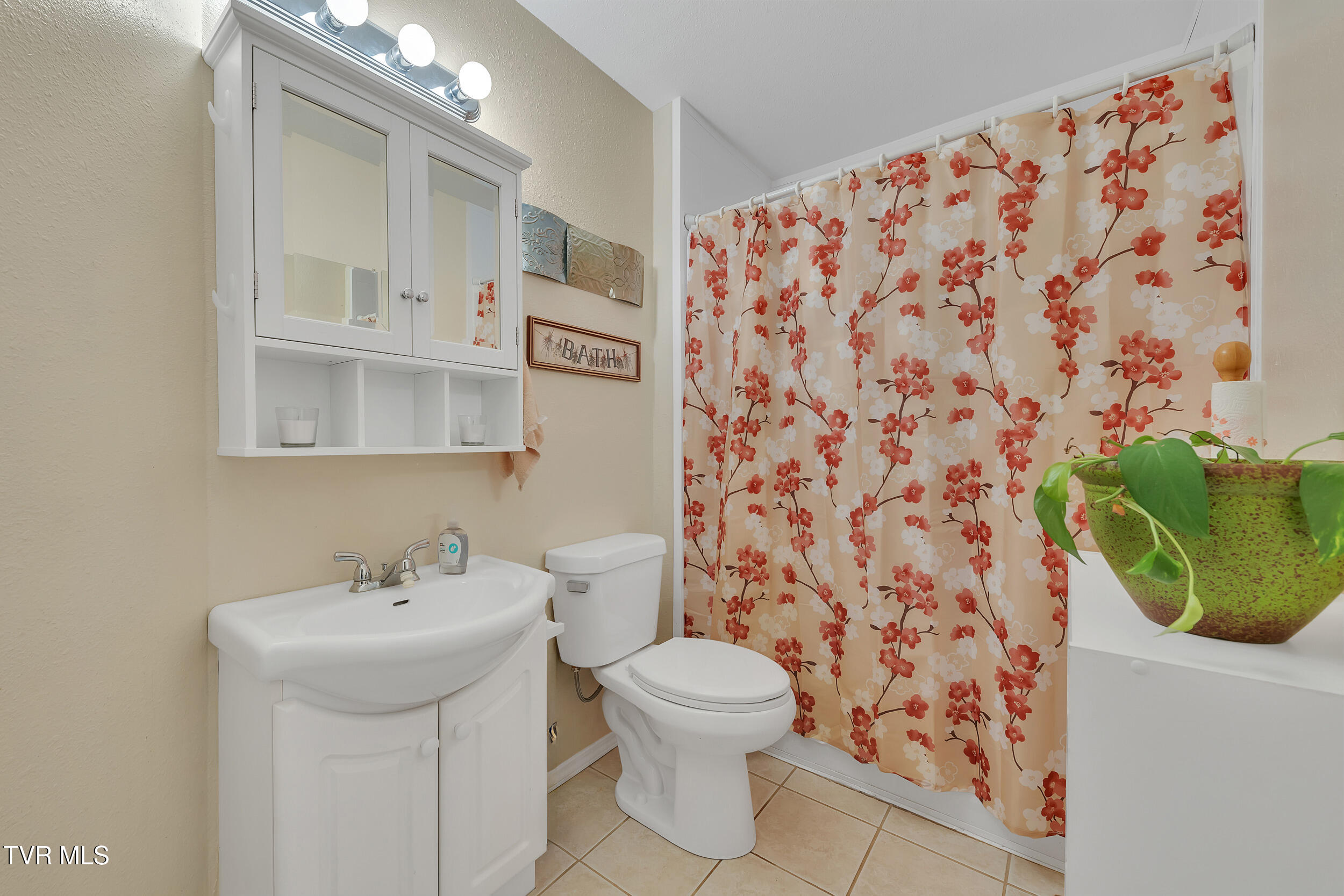 485 Sugar Bowl Road Chuckey, TN 37641 - Photo 28 of 36 36_37