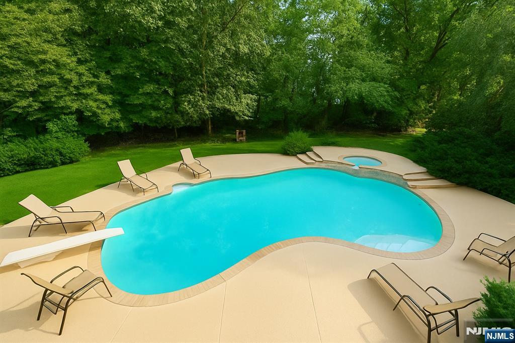 46 Overlook Road Alpine, NJ 07620 - Photo 16 of 18 a view of a swimming pool with a yard and plants
