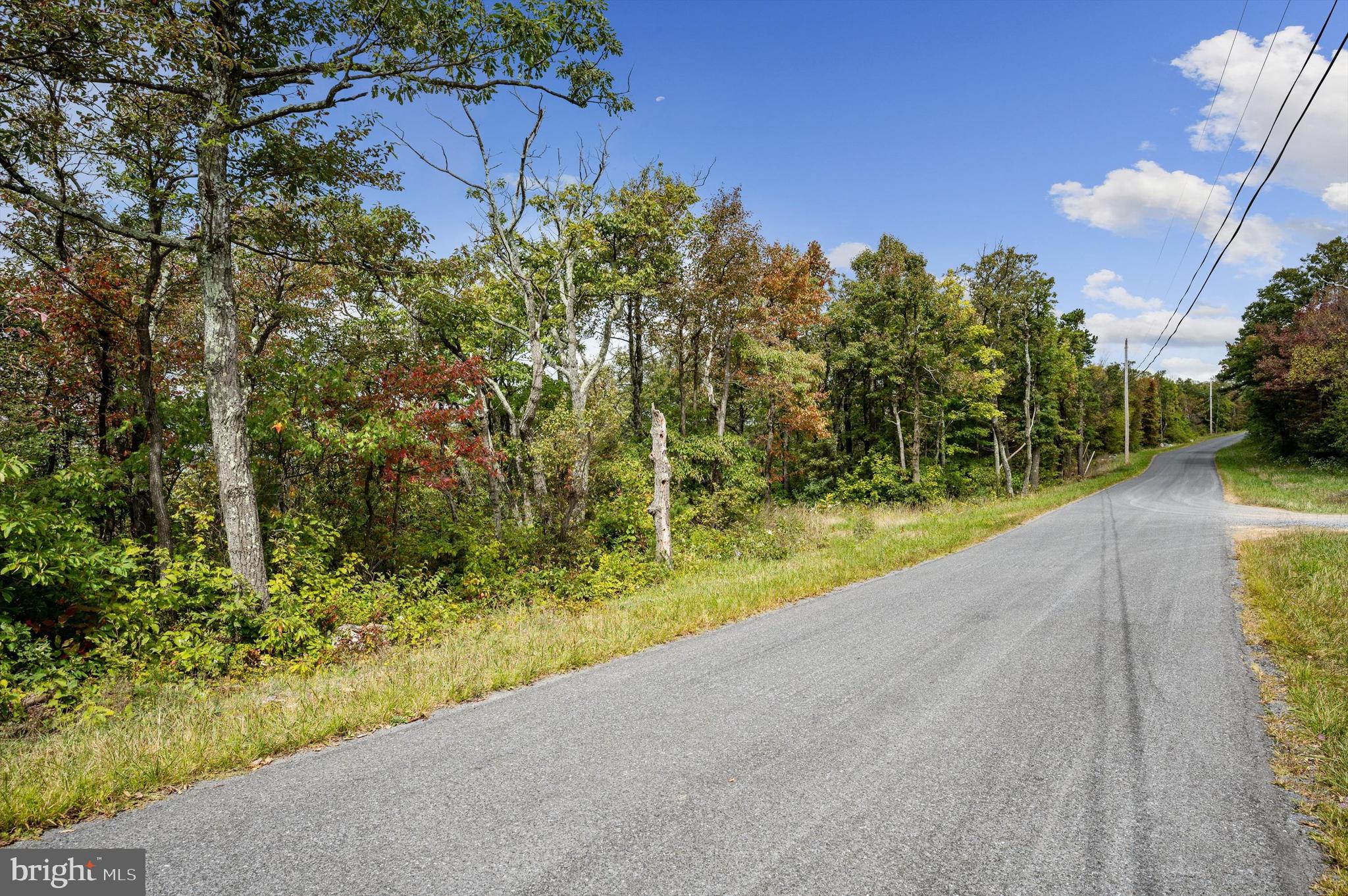 Lot 38 Timber Ridge Trail Winchester, VA 22602 - Photo 4 of 15 Gallery Image 4